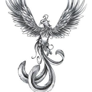 Meet your Posher, Erick